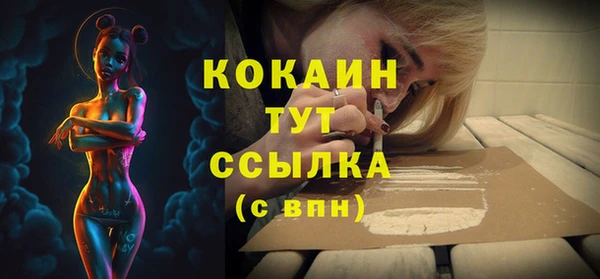 сатива Горнозаводск