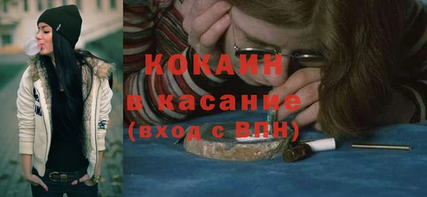 сатива Горнозаводск