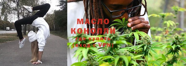 сатива Горнозаводск