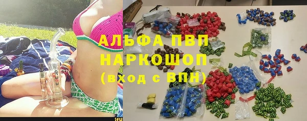 сатива Горнозаводск