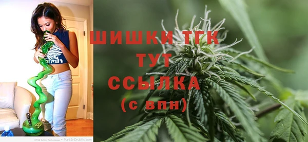 Альфа ПВП Вяземский